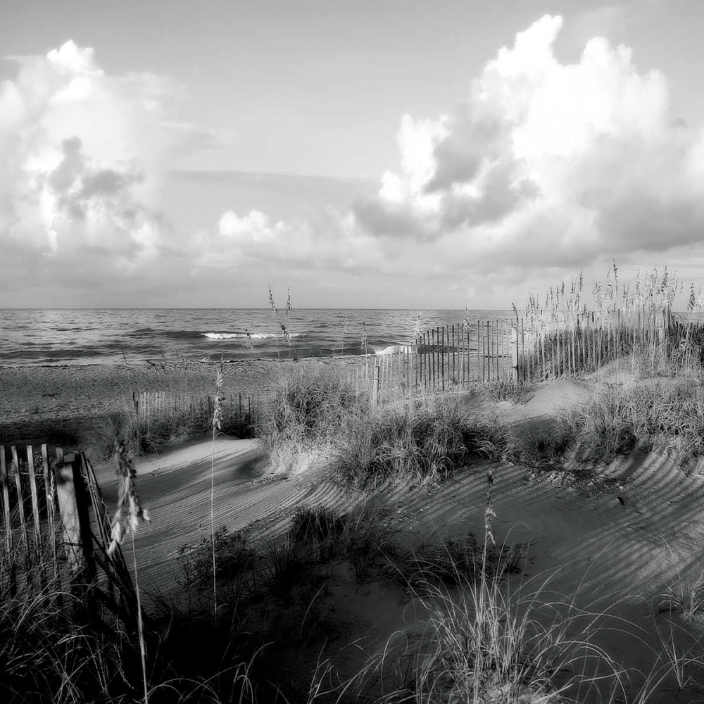 Wall Art Painting id:9663, Name: Dunes II Sq. BW, Artist: Hausenflock, Alan