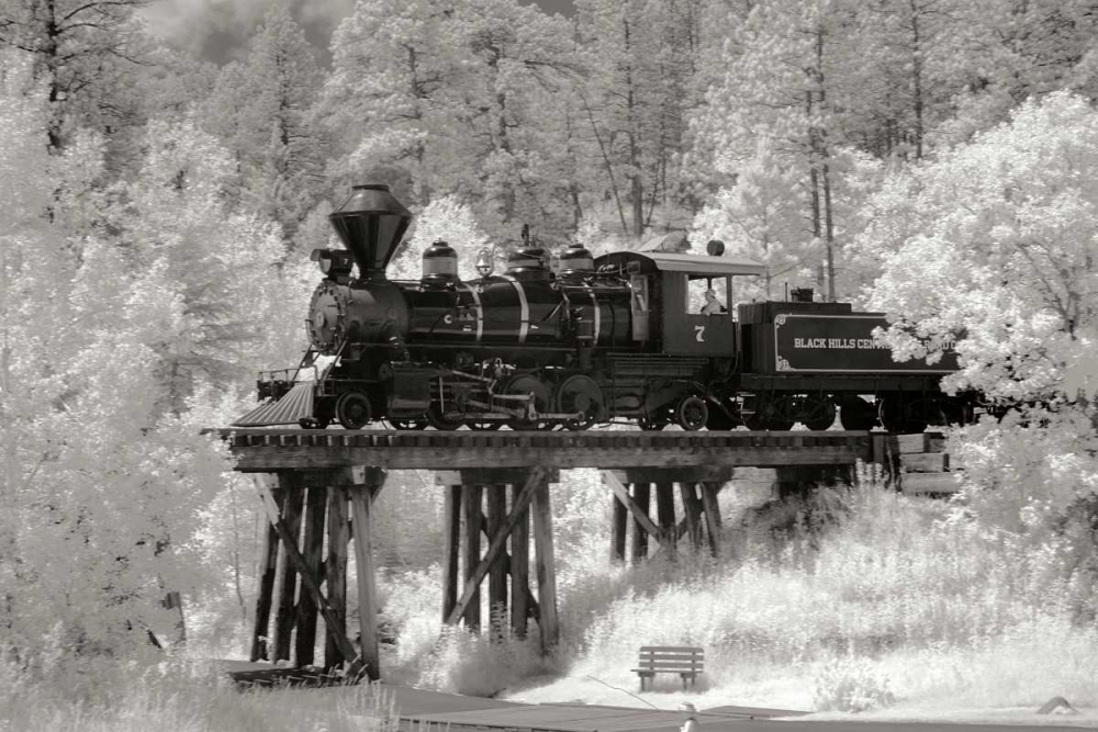 Wall art: Black Hills RR I, by Johnson, George