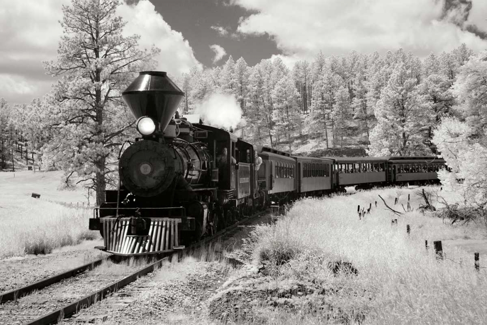 Wall art: Black Hills RR II, by Johnson, George