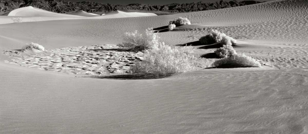 Wall Art Painting id:14467, Name: Death Valley Dunes I, Artist: Johnson, George