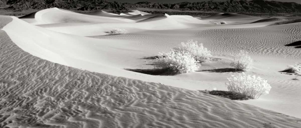Wall Art Painting id:14468, Name: Death Valley Dunes II, Artist: Johnson, George