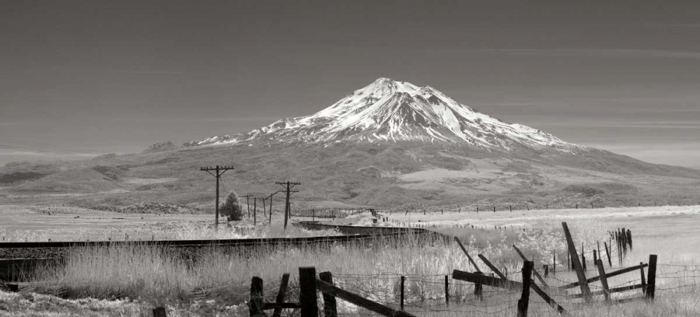 Art Print: Mt. Shasta II