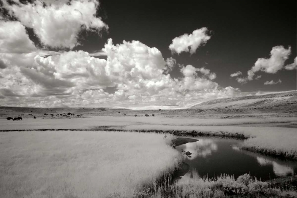 Wall Art Painting id:14476, Name: Yellowstone Creek and Clouds I, Artist: Johnson, George