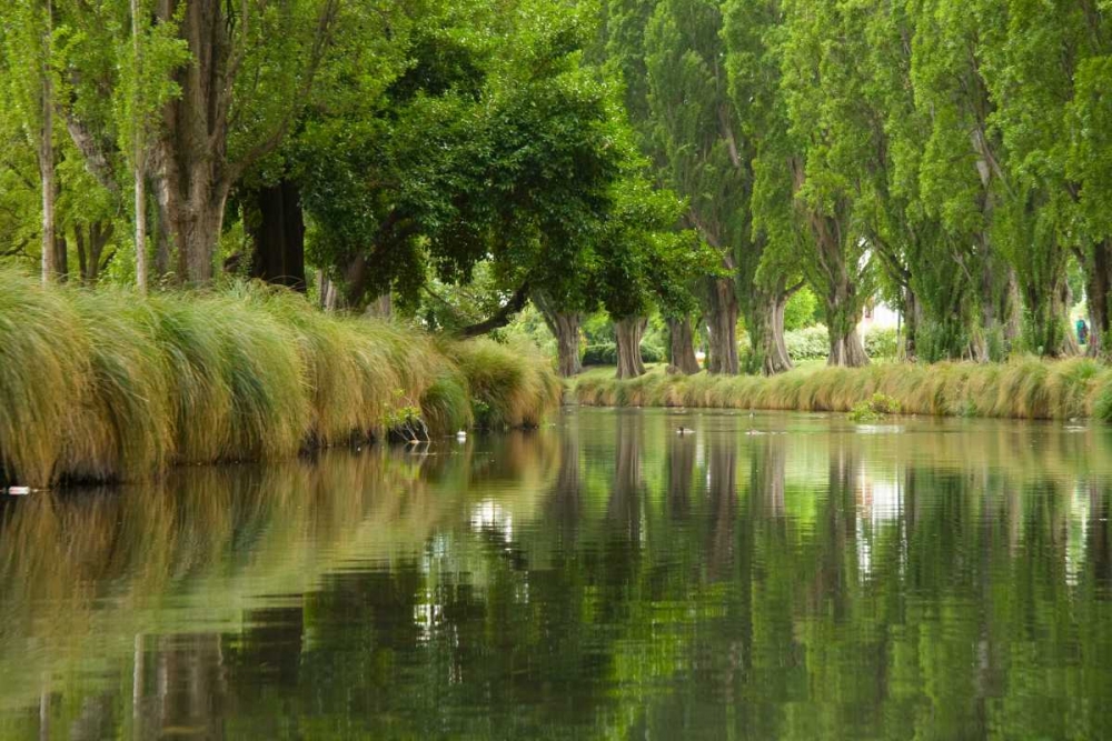 Art Print: Avon River II