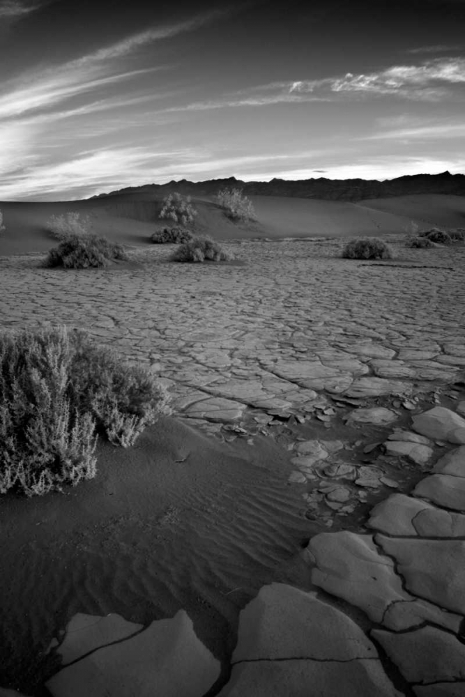 Art Print: Death Valley Dunes II