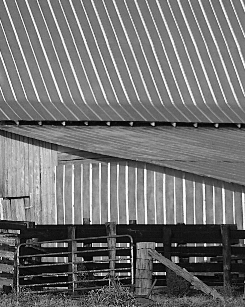 Wall Art Painting id:2130, Name: Big Barn II, Artist: Larson, Scott