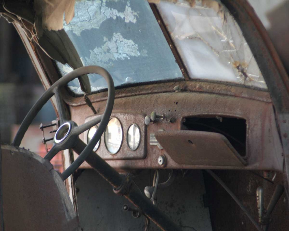 Wall Art Painting id:2131, Name: Dash Board I, Artist: Larson, Scott