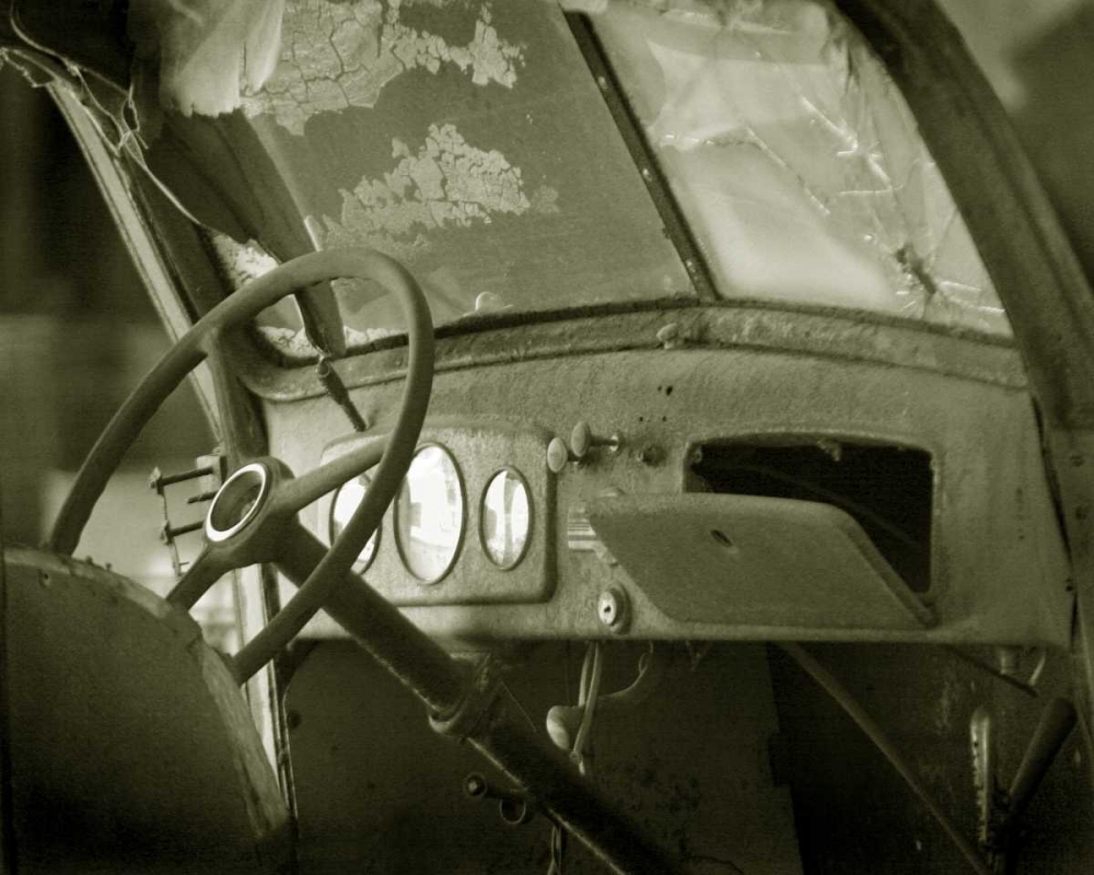 Wall Art Painting id:2132, Name: Dash Board II, Artist: Larson, Scott