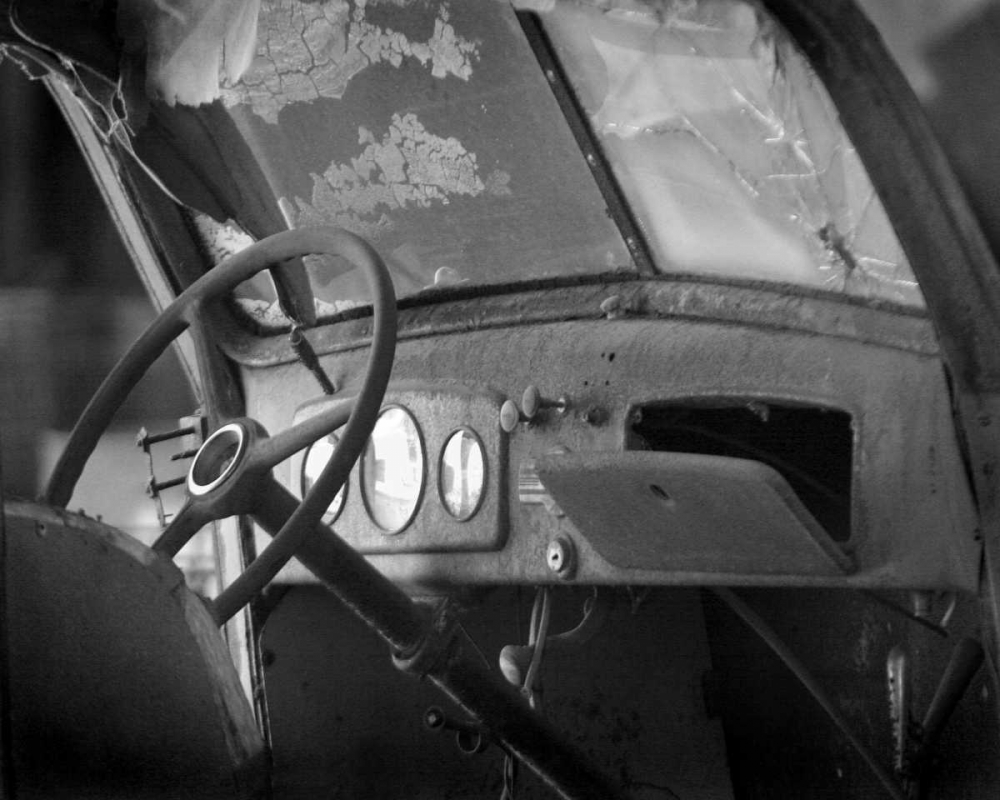 Wall Art Painting id:2133, Name: Dash Board III, Artist: Larson, Scott