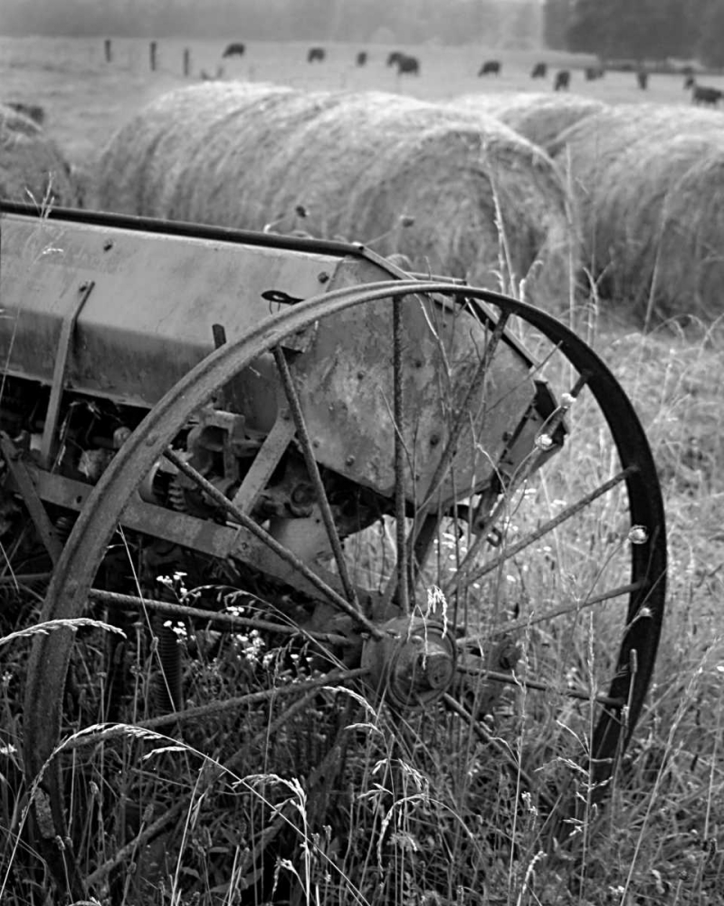 Wall Art Painting id:2139, Name: Sewing Seeds II, Artist: Larson, Scott