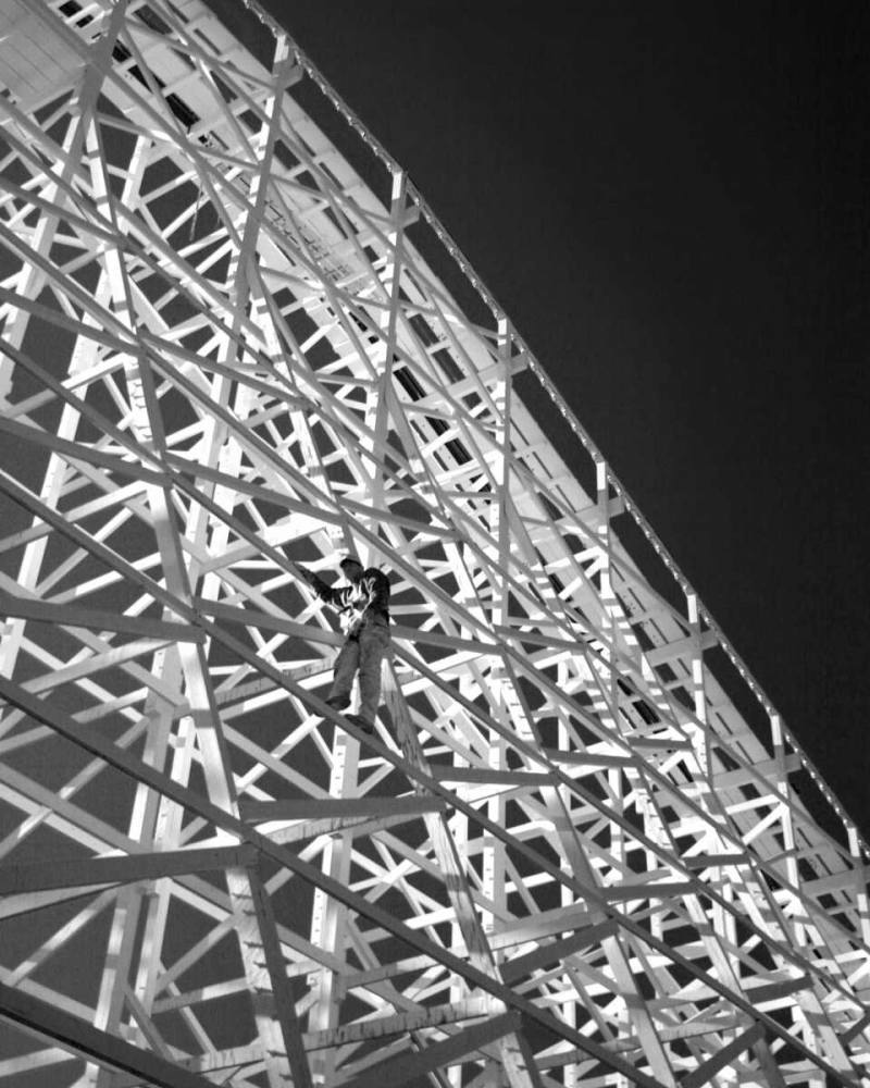 Wall Art Painting id:2142, Name: Safety Check I, Artist: Larson, Scott