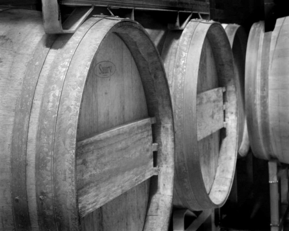 Wall Art Painting id:2163, Name: Winery IV, Artist: Larson, Scott