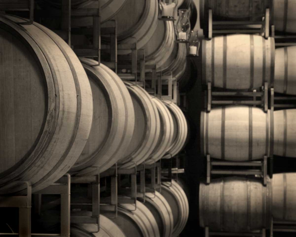 Wall Art Painting id:2166, Name: Winery VII, Artist: Larson, Scott