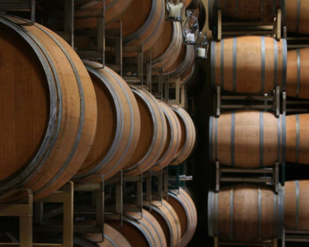 Wall Art Painting id:2168, Name: Winery IX, Artist: Larson, Scott