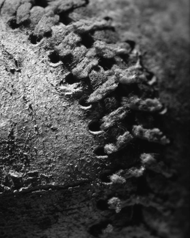 Wall art: Summer Ball I, by Larson, Scott