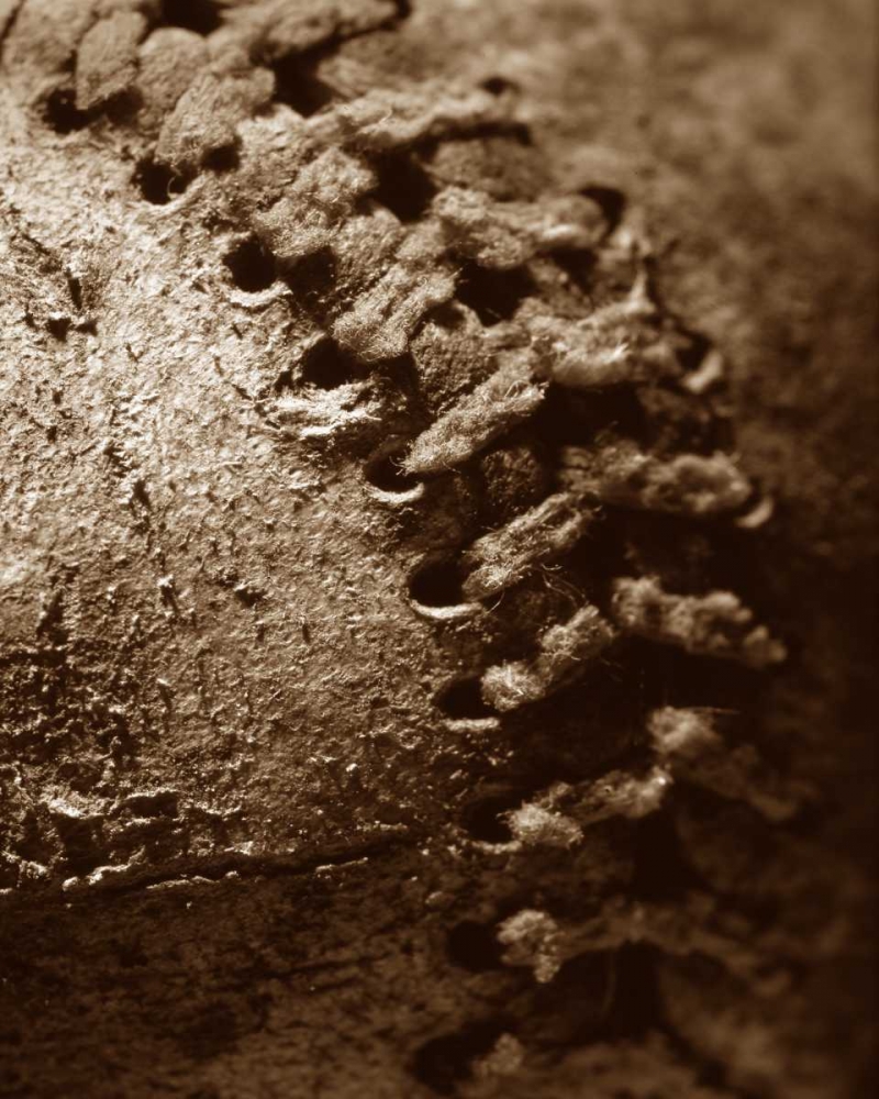 Wall art: Summer Ball II, by Larson, Scott