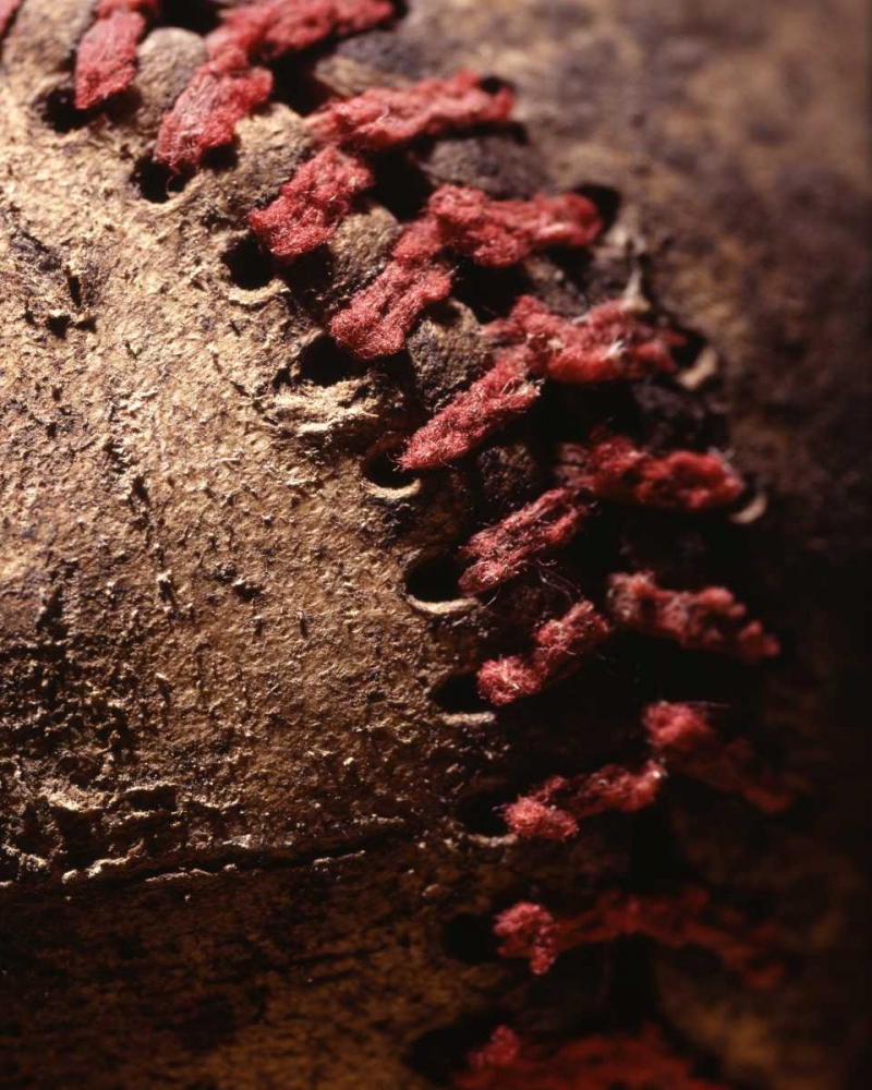 Wall art: Summer Ball III, by Larson, Scott