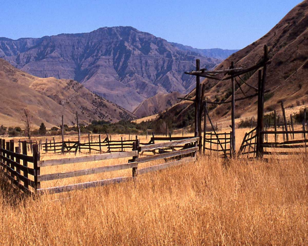 Wall Art Painting id:2207, Name: Summer Corral II, Artist: Larson, Scott