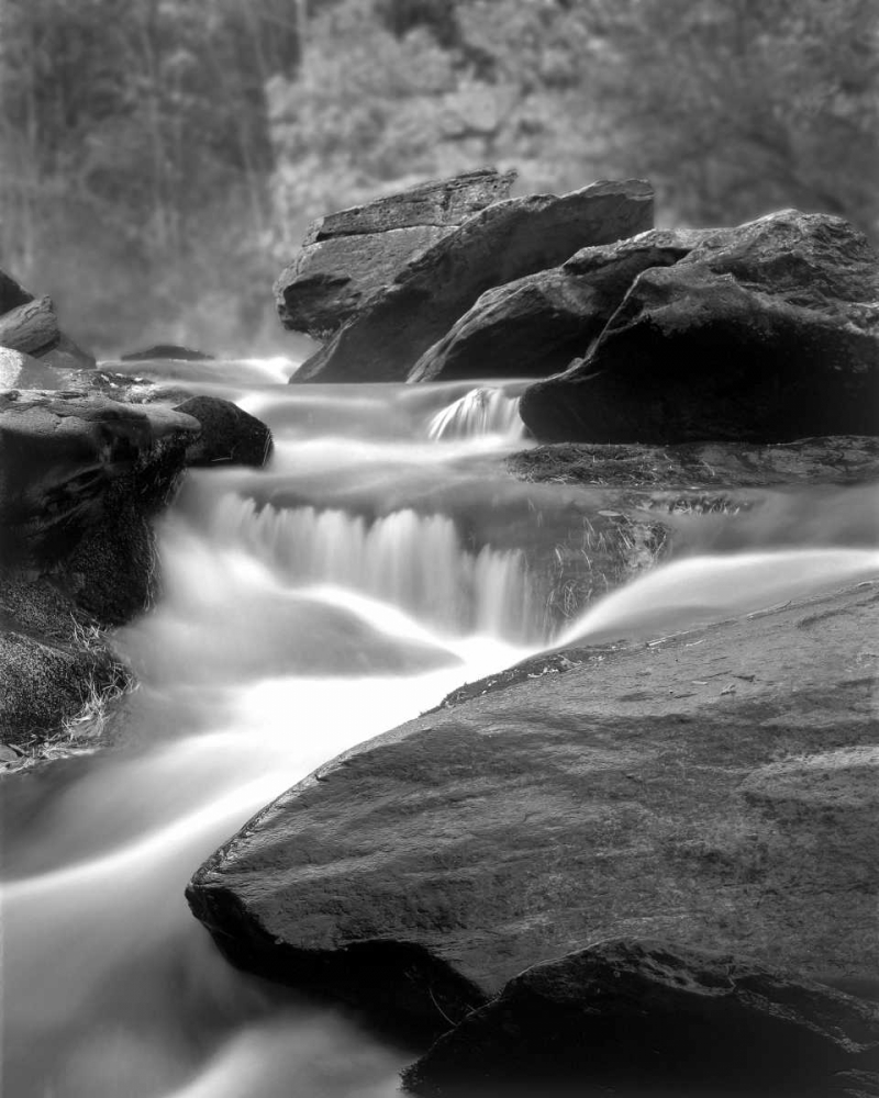 Wall Art Painting id:2217, Name: Moving Water IV, Artist: Larson, Scott