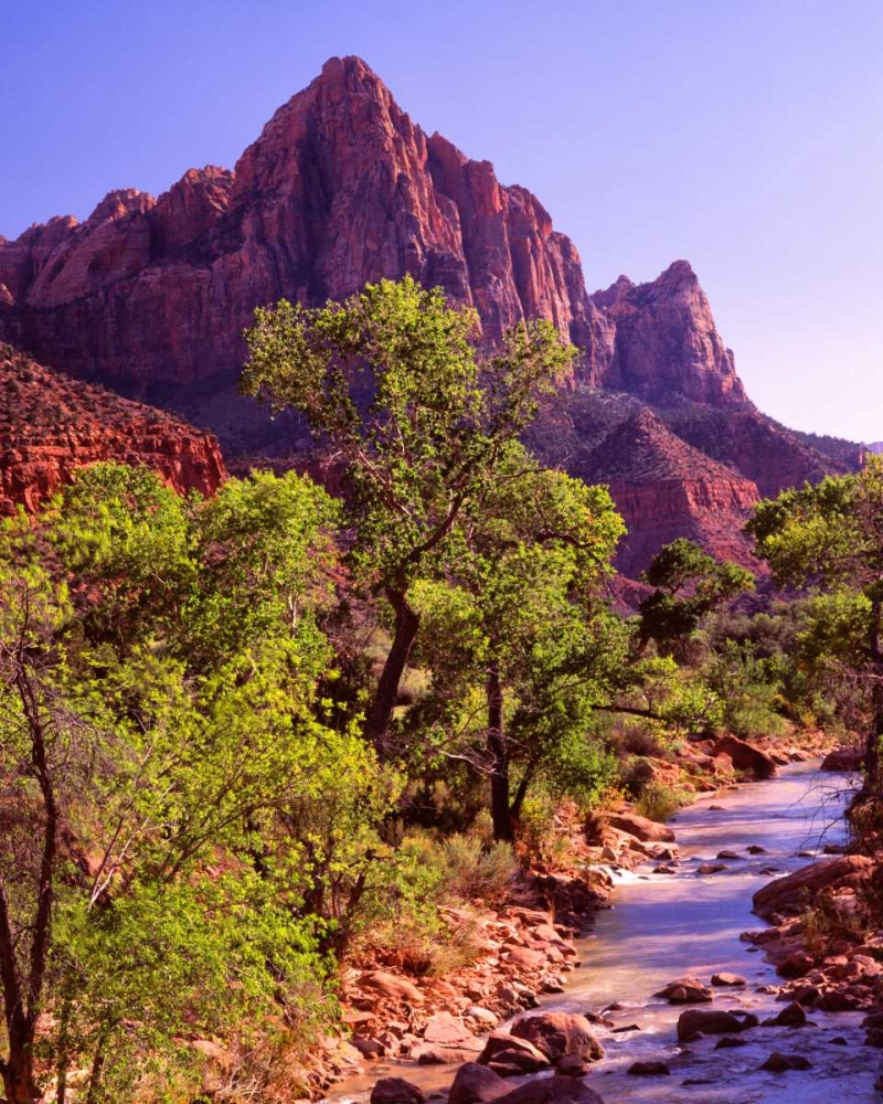 Art Print: Zion National Park I