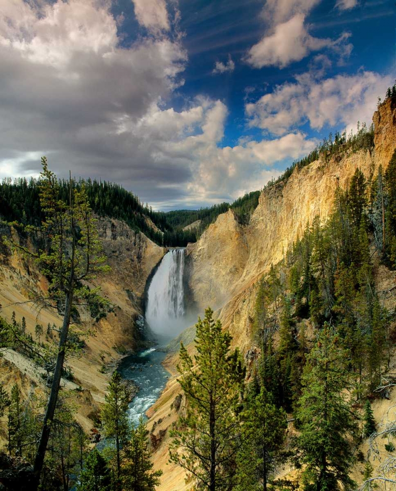 Art Print: Yellowstone Falls