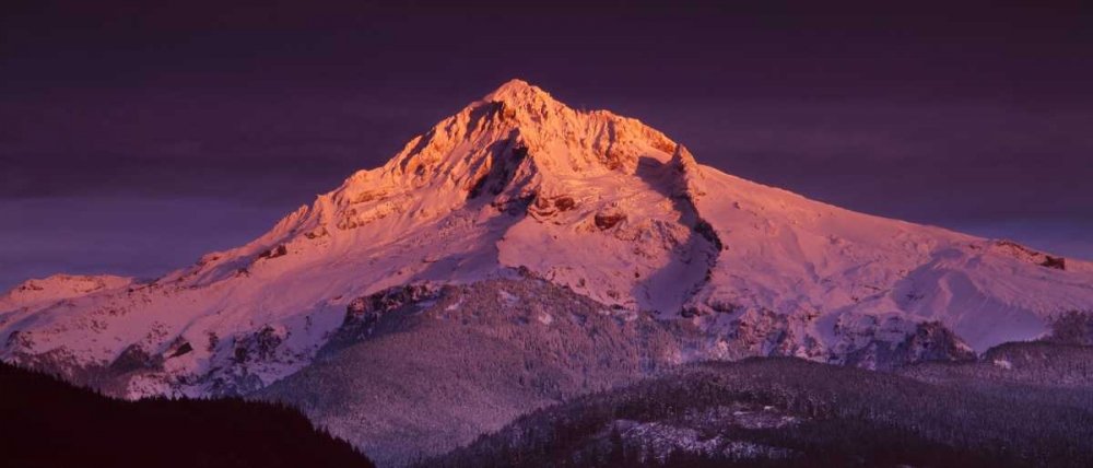 Art Print: Mt. Hood XV