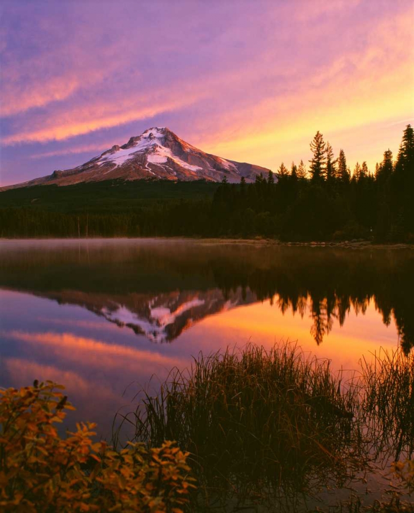 Art Print: Mt. Hood XVI