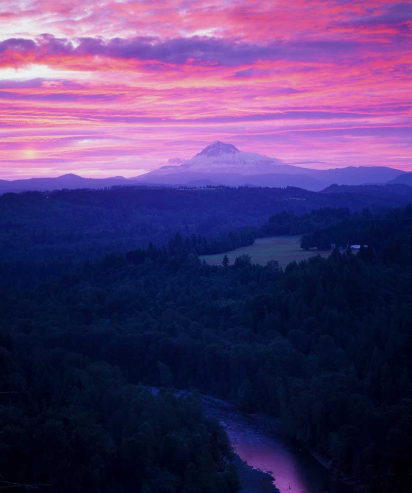 Art Print: Mt. Hood XVII