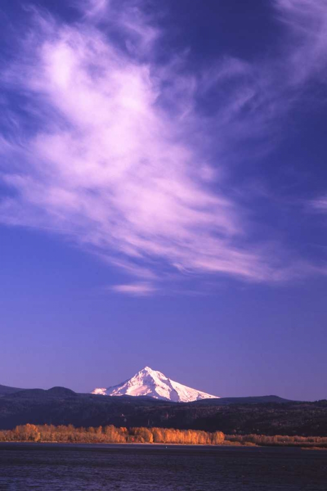 Art Print: Mt. Hood XVIII