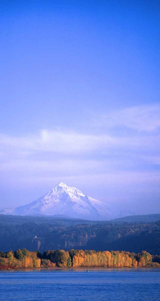 Art Print: Mt. Hood XIX
