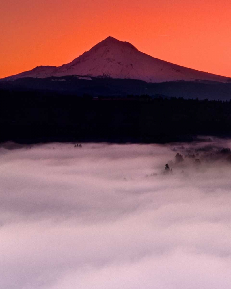 Art Print: Mt. Hood XX