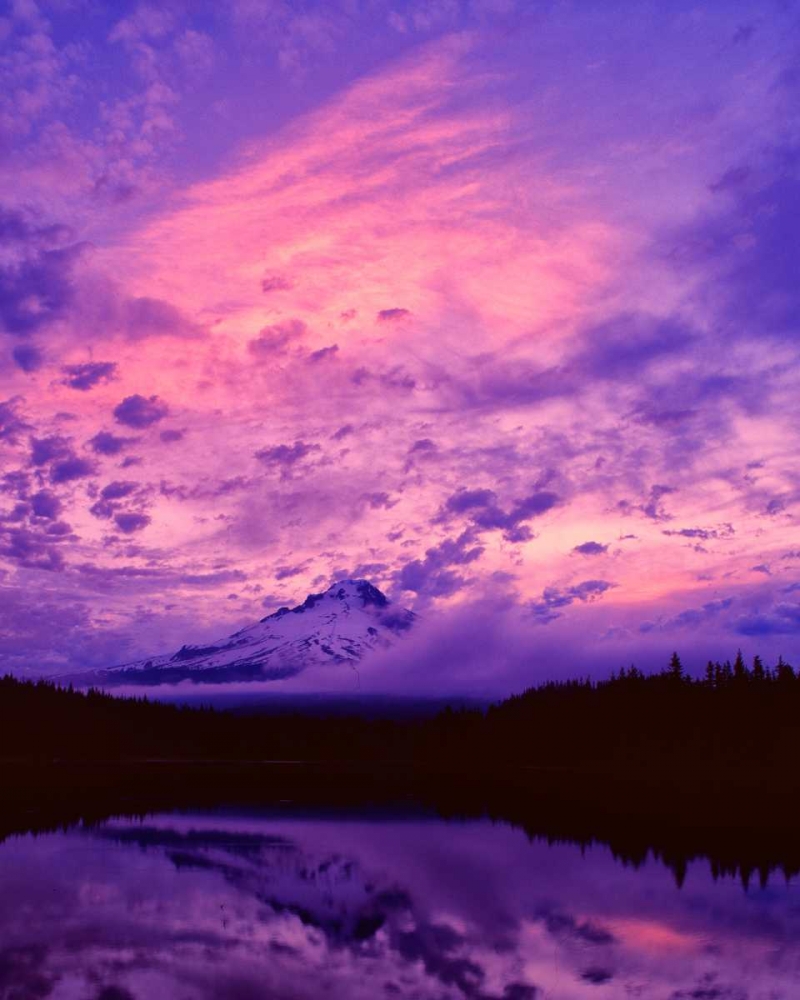 Art Print: Mt. Hood XXI