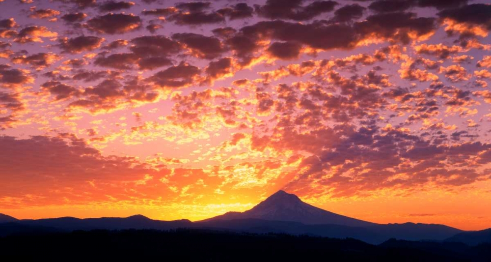 Art Print: Mt. Hood XXIII
