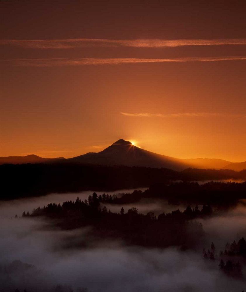Art Print: Mt. Hood XXVI