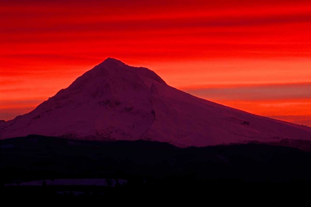 Art Print: Mt. Hood XXVIII