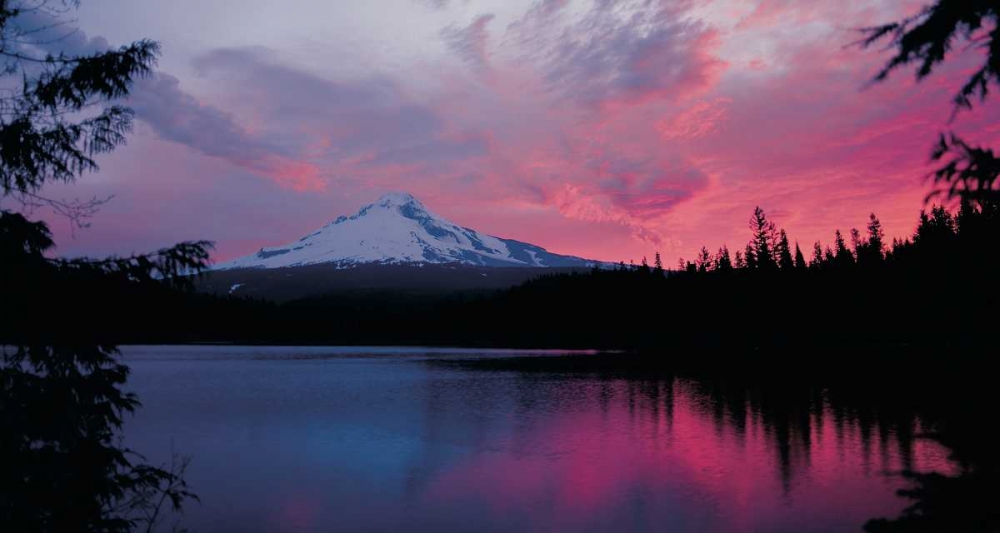 Art Print: Mt. Hood XXX