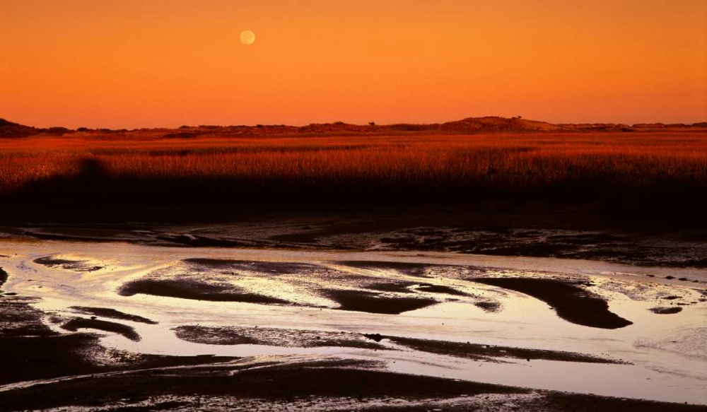 Wall art: Moonrise Estuary, by Leahy, Ike