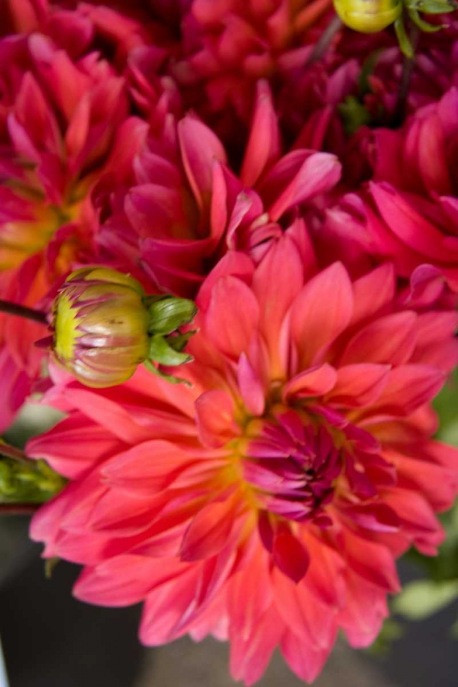 Similar wall art painting: 2280