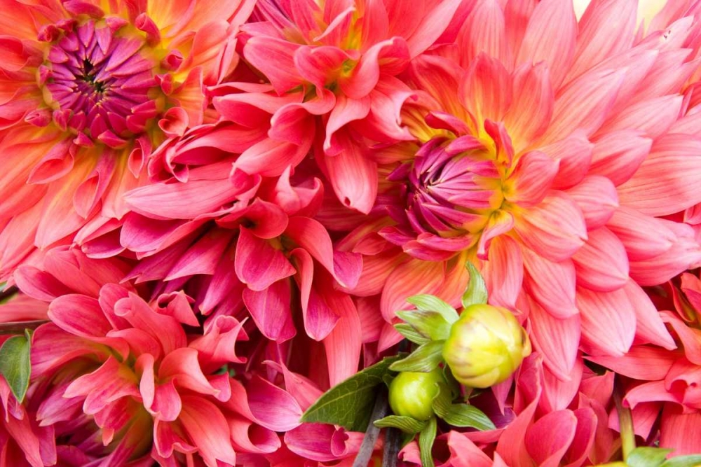 Similar wall art painting: 2295