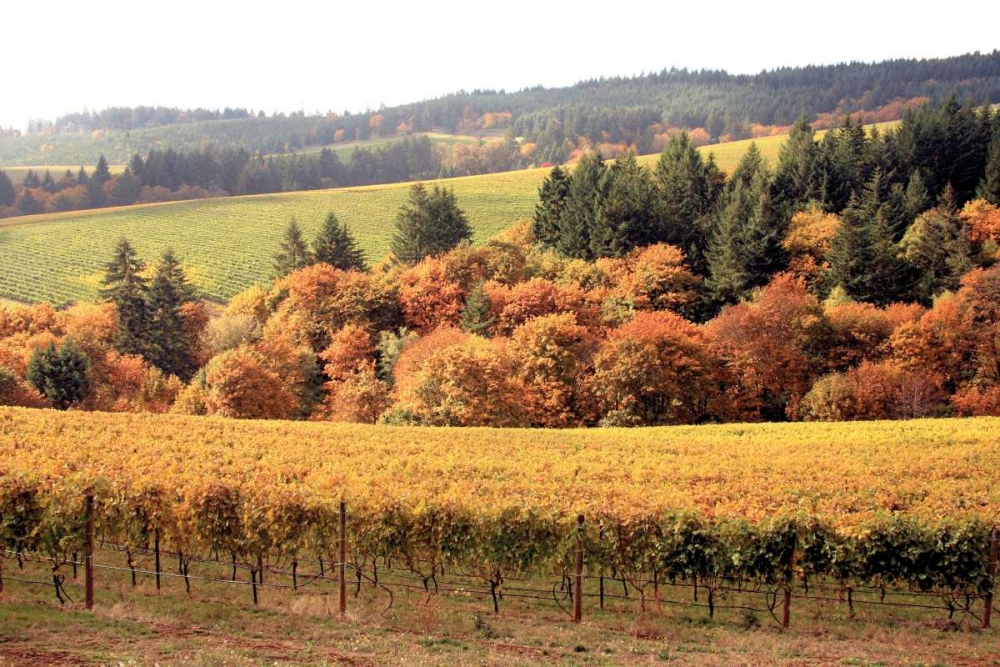 Similar wall art painting: 2305