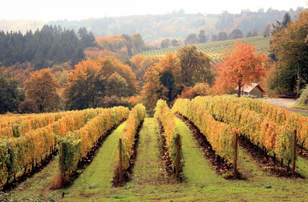 Similar wall art painting: 2306