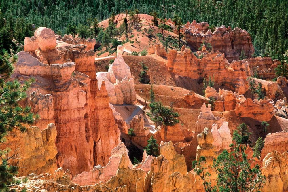 Art Print: Bryce Spires III