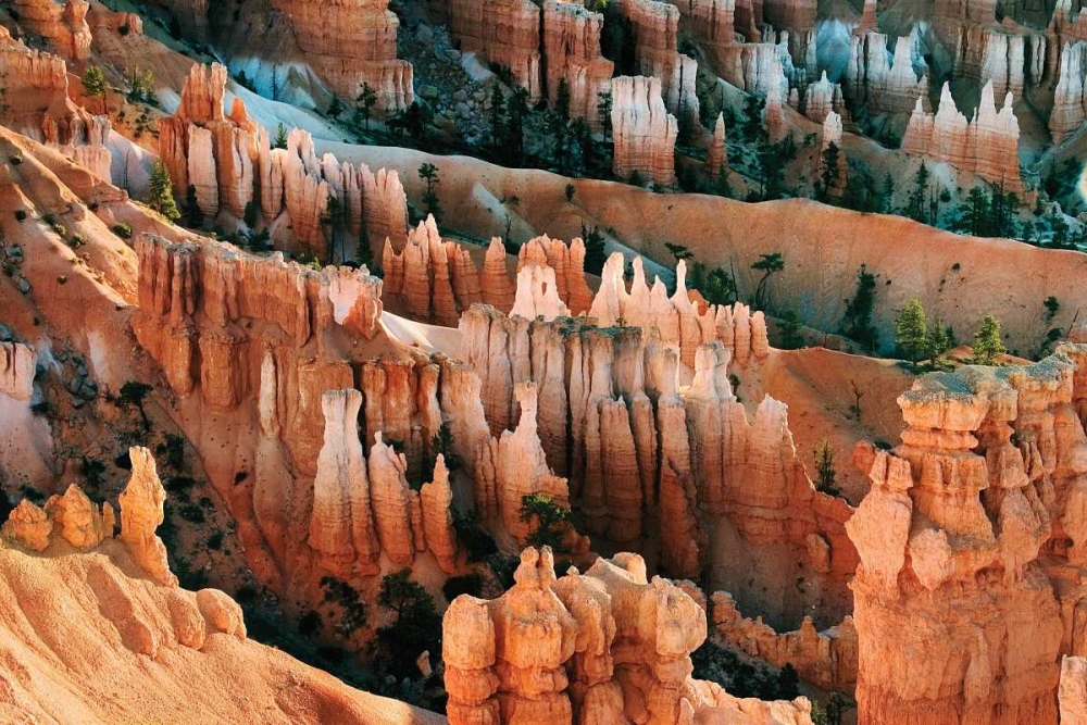 Art Print: Bryce Spires I