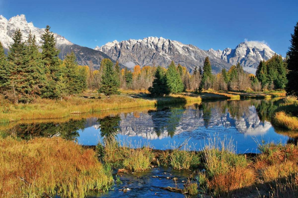 Art Print: Schwabacher Pond