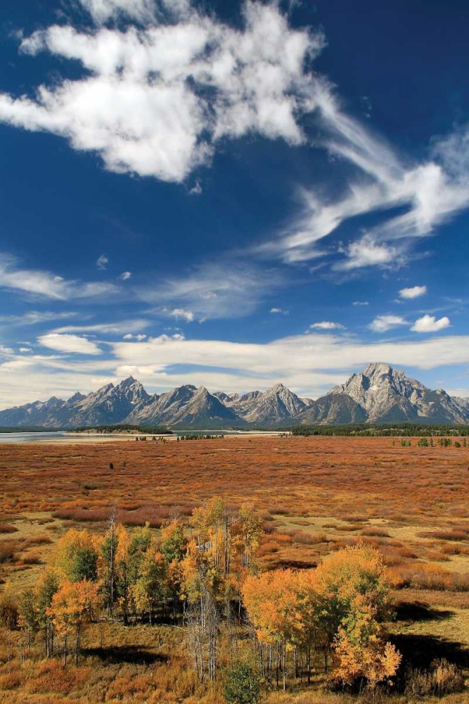 Art Print: Lunch Tree Hill