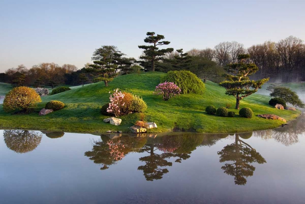 Art Print: Botanic Dawn I