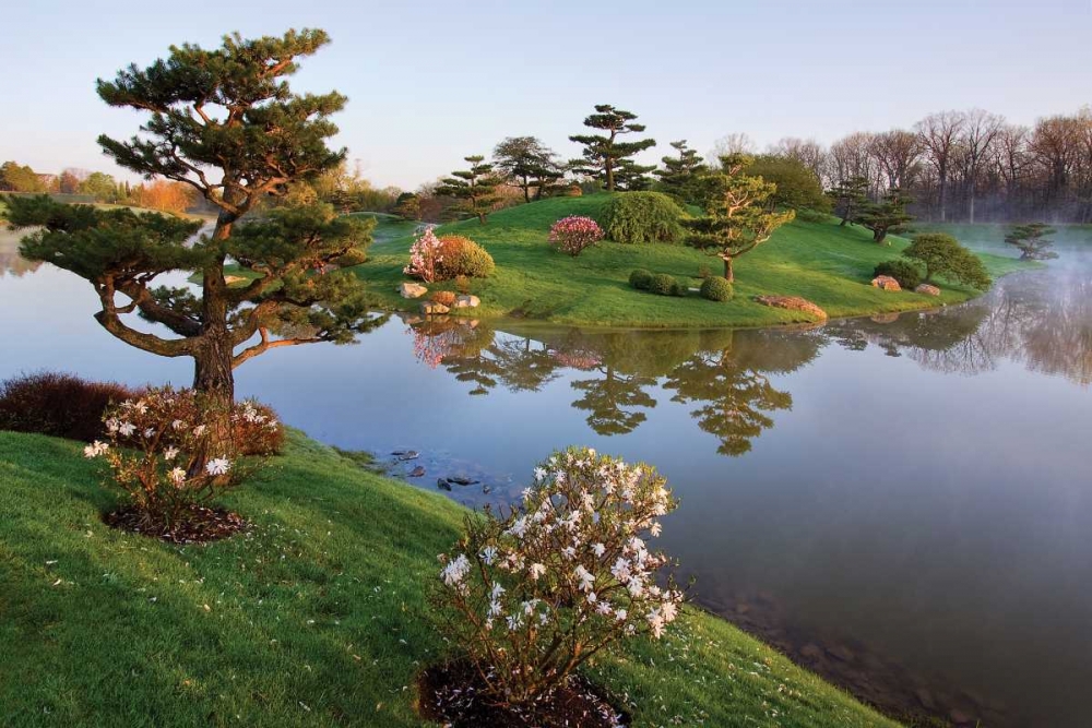 Art Print: Botanic Dawn II