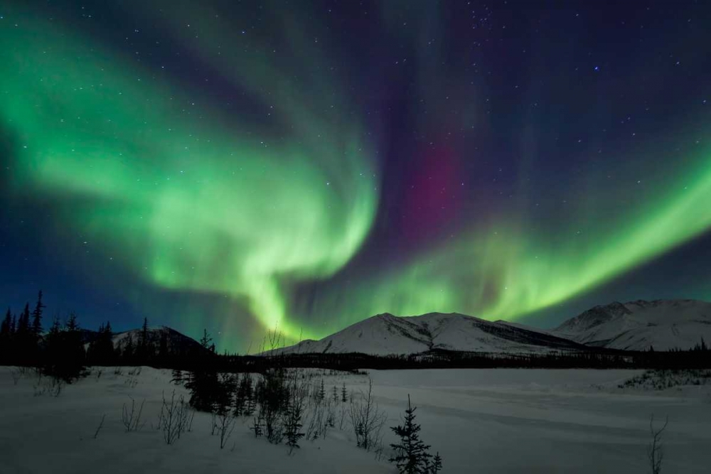 Wall art: Aurora Borealis I, by Malvin, Larry