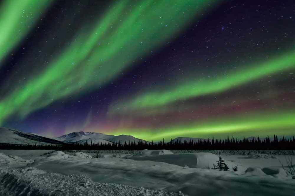 Wall art: Aurora Borealis V, by Malvin, Larry