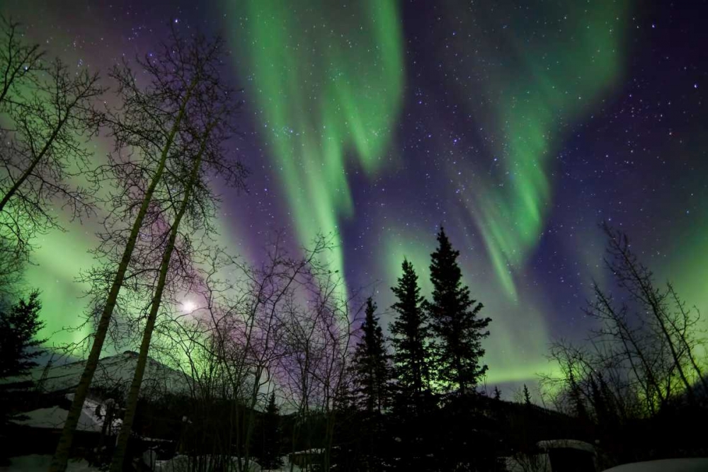 Wall art: Aurora Borealis X, by Malvin, Larry